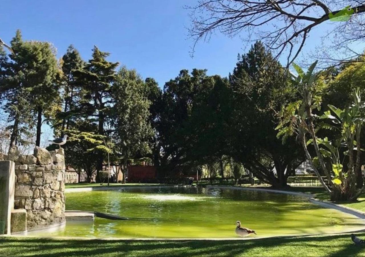Lisbon Calling Rooms & Studio 외부 사진